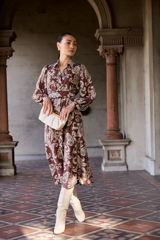Sacha Drake Vanessa Shirtmaker Dress
