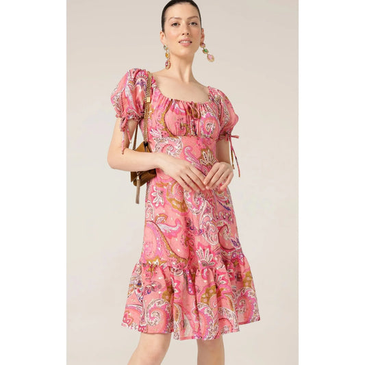 Sacha Drake Rosy Finch Dress (Pink Paisley)