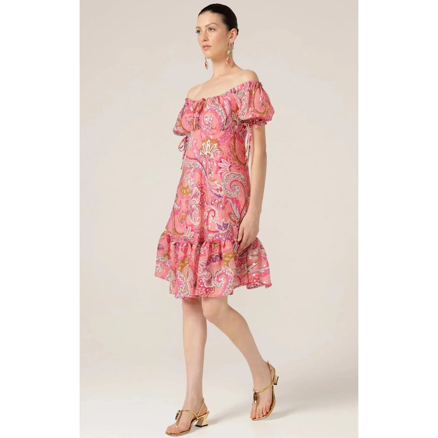 Sacha Drake Rosy Finch Dress (Pink Paisley)
