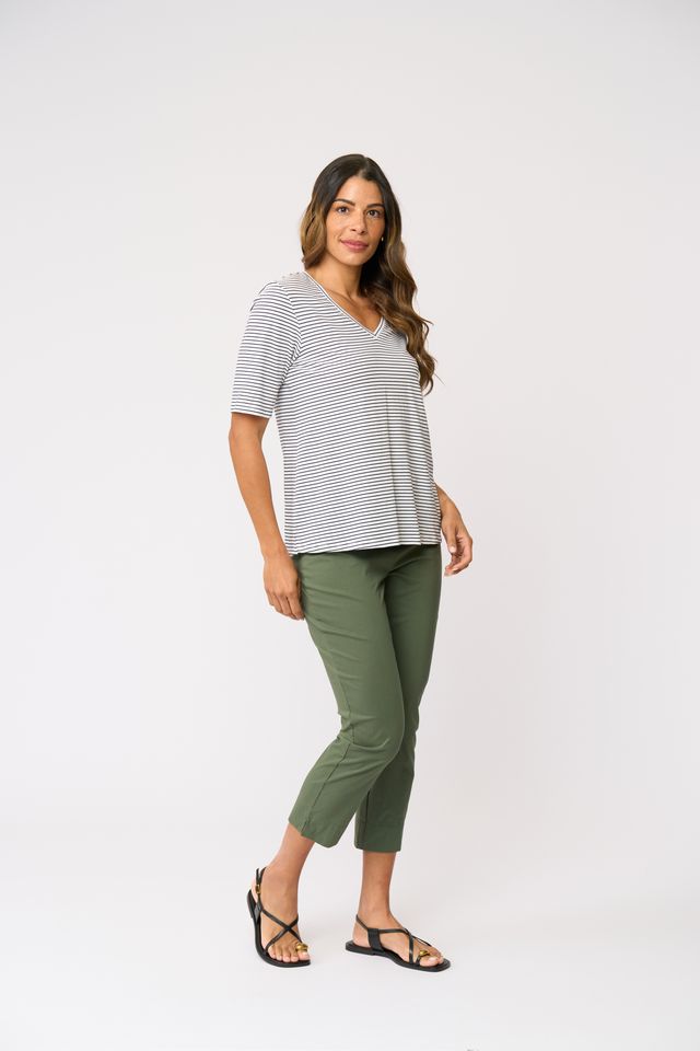 Foil Fuss Free Capri Succulent