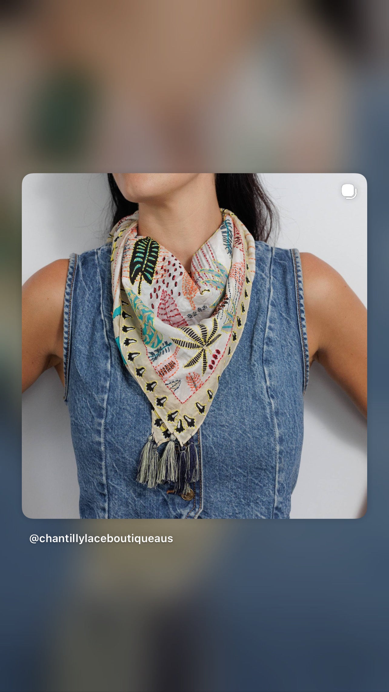 Zoda Silk Embroidered Scarf