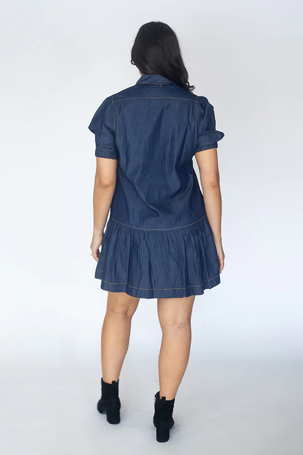 Itami Giverny denim Button Dress